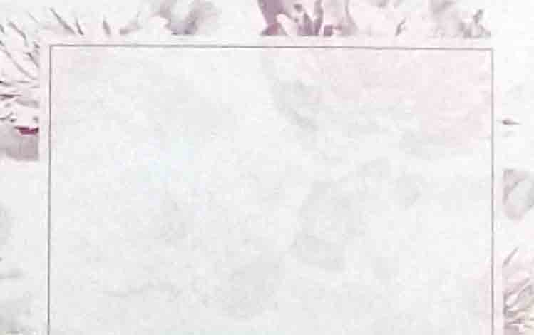 AC5161 - No Sentiment - 2.45 pkg, 2.25/10