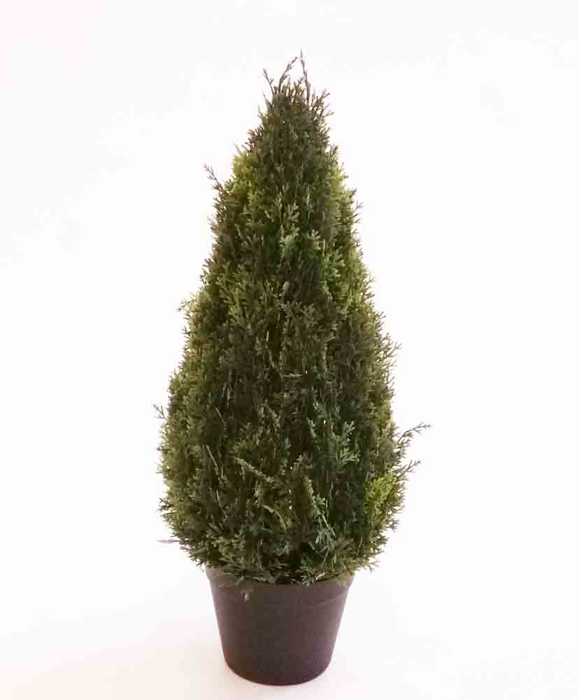 CT22 - 22" Cypress Tree in Plastic Pot - 35.50 ea