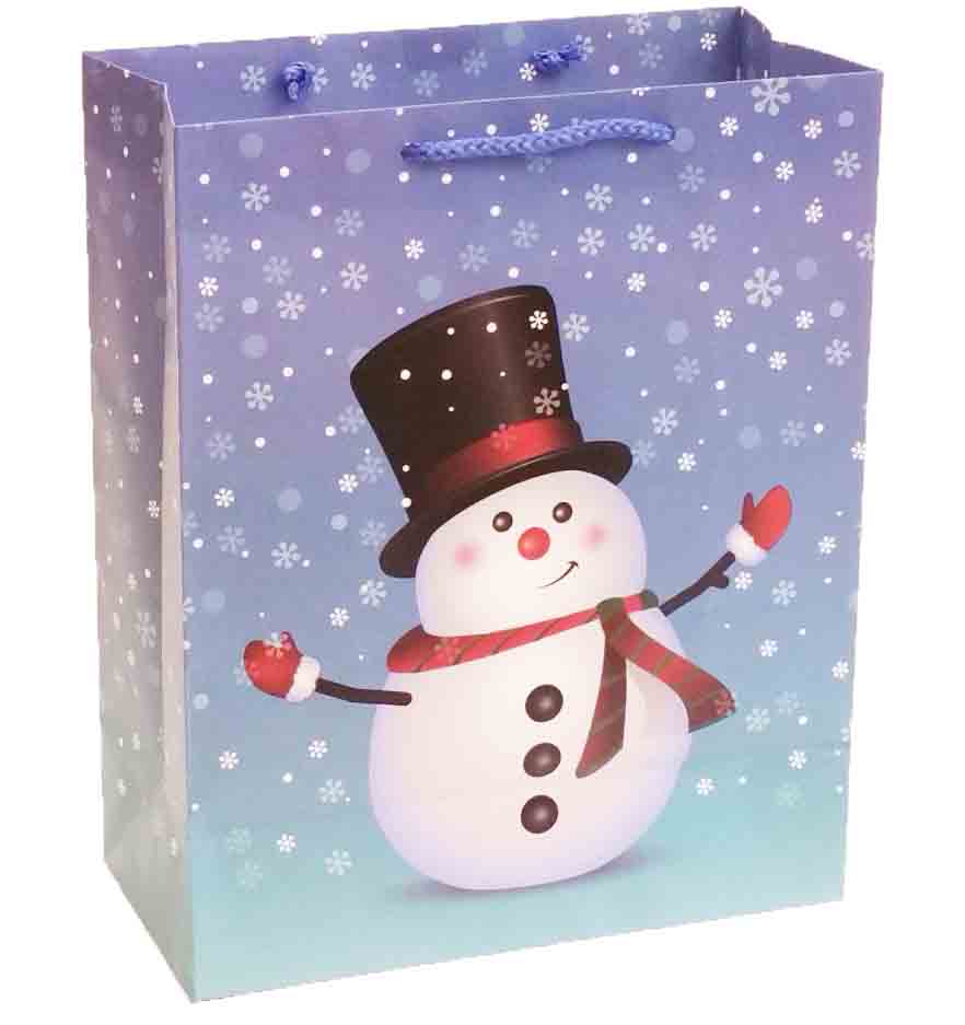 X317 - 5.5 x 10.5 x 13" Large Gift Bag - 1.30 ea, 1.15/12