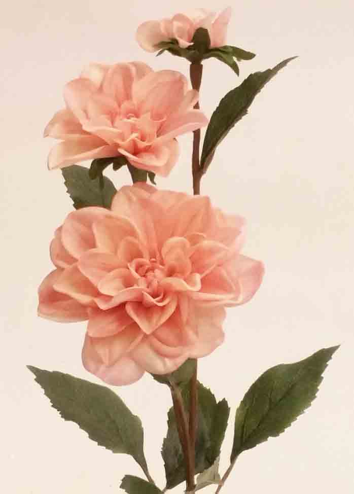Harmony Florals D05 - 24" Dahlia Spray - 4.25 ea, 3.85/12