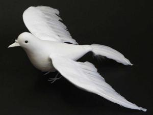 2594 - 14" Feather Dove - 12.40 ea