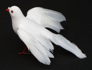 4613 - 7" Feather Dove - 3.55 ea, 3.20/12