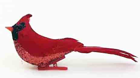 5521 - 5" Feather Cardinal - 2.25 ea, 1.98/12