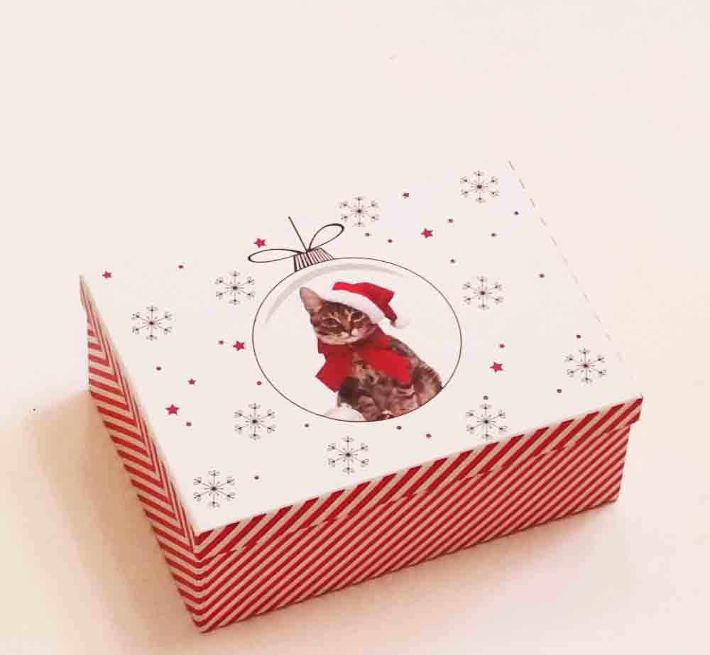 X669 - Rectangular Gift Boxes - 8.85 set of 3