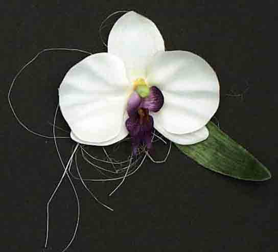 FO4 - 4" Floating Orchid - 1.65 pkg of 3, 1.45/12
