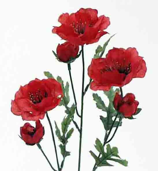 P28 - 21" Poppy Spray - 2.10 ea, 1.80/12