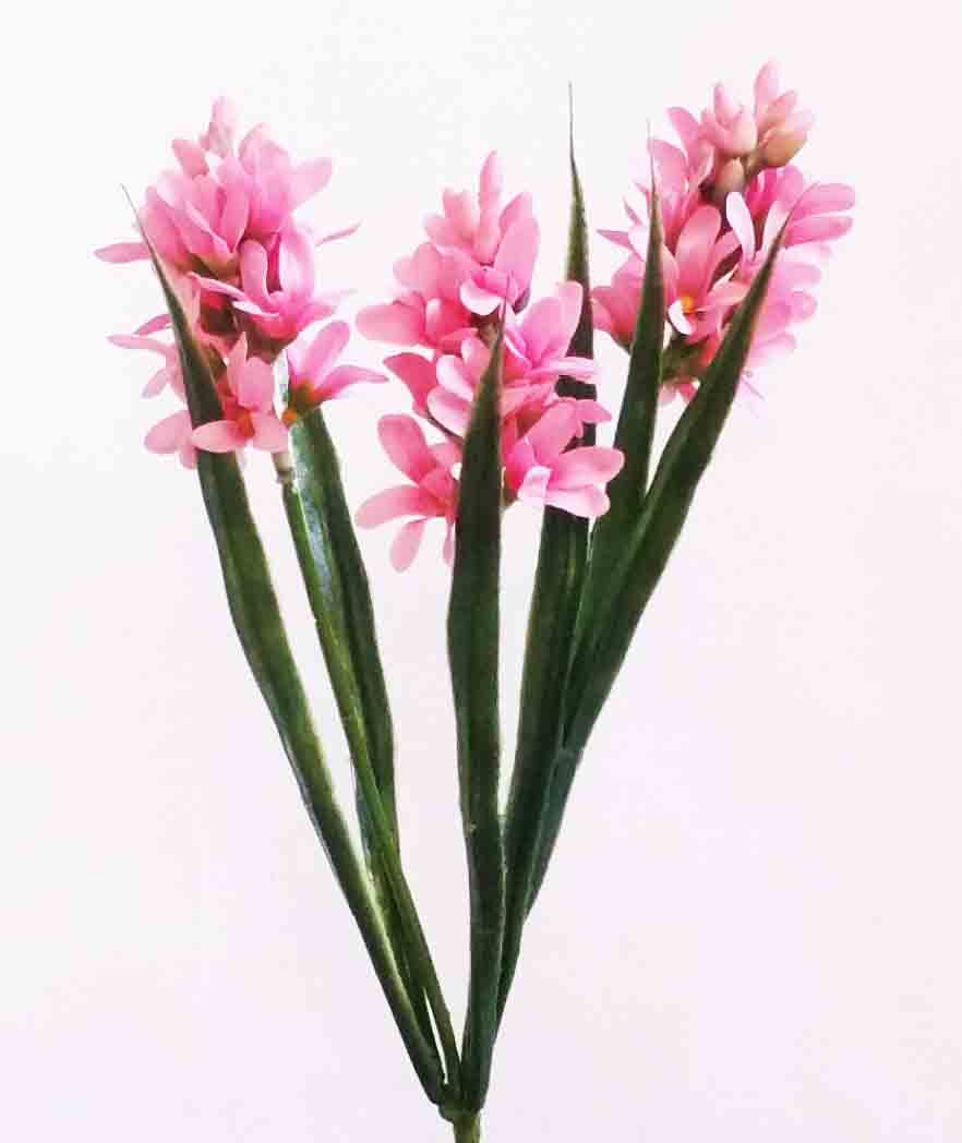 HB3 - 12" Hyacinth Bush x 3 - 2.95 ea