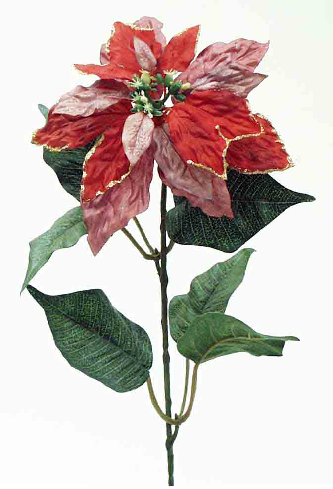 X225 - 25" Poinsettia - 1.95 ea, 1.65/12