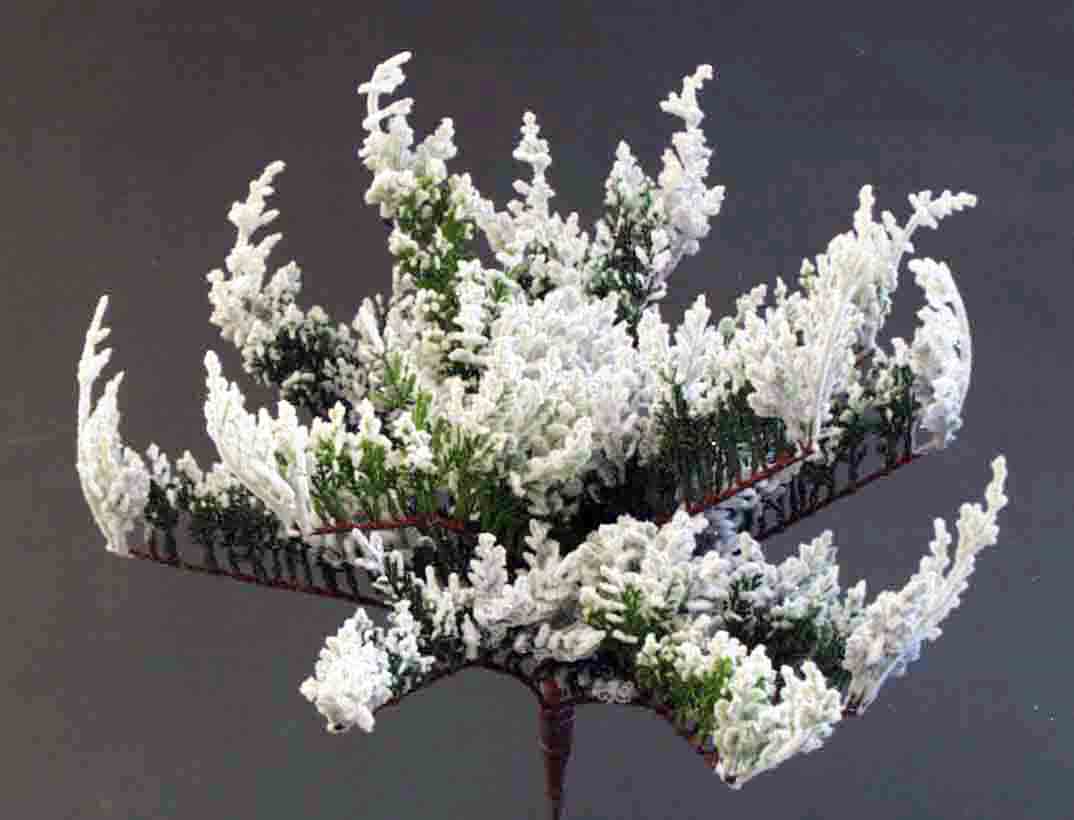 X3141 - 24" Juniper Bush - 19.95 ea