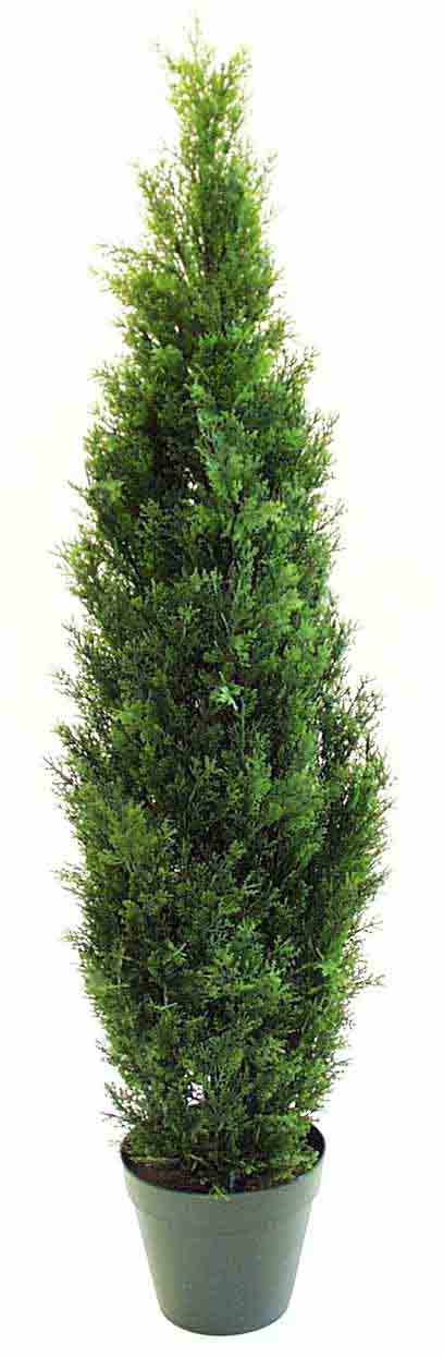 CT50 - 60" Cedar Tree - 312.00 ea