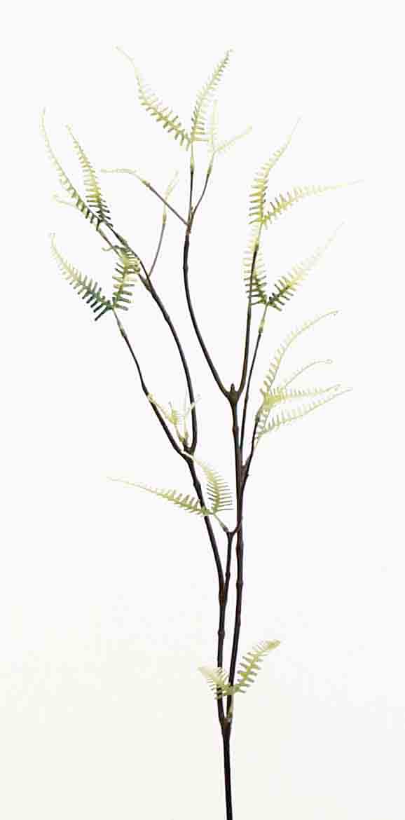 FB26 - 26" Fern Branch - 2.60 ea, 2.35/36