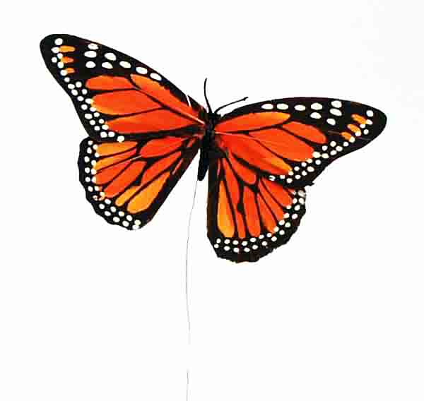 960 - 6" Monarch Butterfly - 2.35 ea, 2.05/24