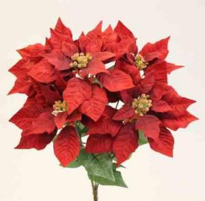 X455 - 18" Red M.P. Poinsettia Bush x 5 - 6.75 ea, 6.25/12