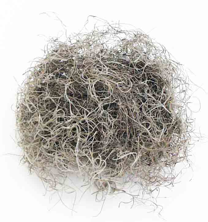 4810 - Spanish Moss - 34.95 box