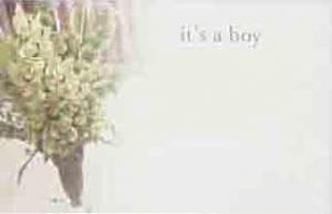 AC3517 - It's a Boy - 2.45 pkg, 2.25/10