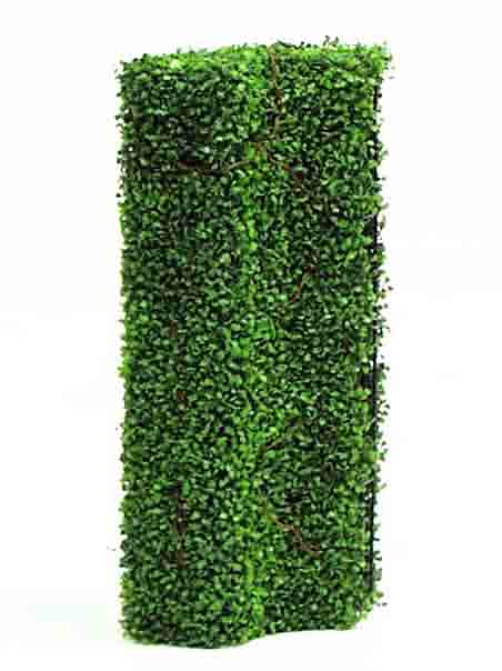 BH20 - Curved Boxwood Hedge - 145.60 ea