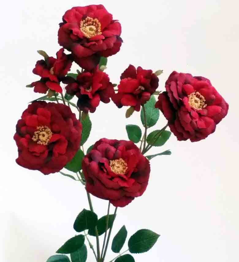 R7 - Red 36" Beijing Rose x 7 - 6.50 ea, 5.95/12