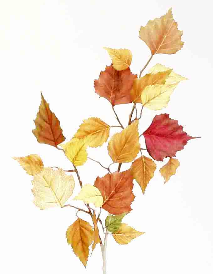 BS23 - 21" Birch Spray - 2.30 ea, 2.10/12
