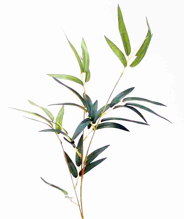 BS35 - 17" Bamboo Spray - 2.15 ea, 2.05/12