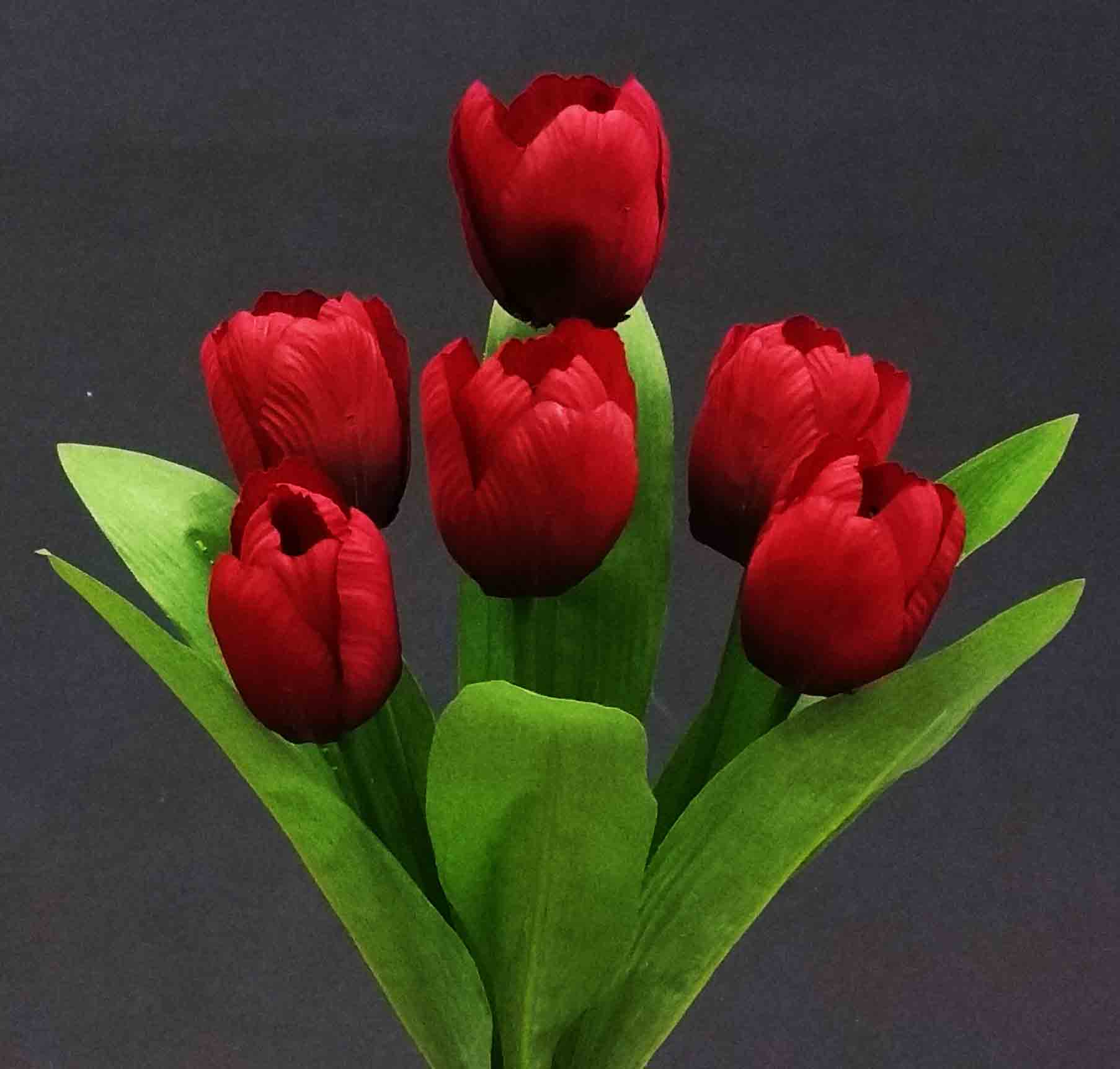 TB6 - 14" Tulip Bush - 2.95 ea