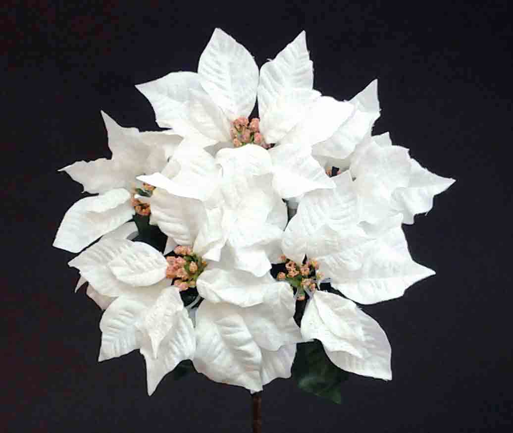 X455 - 18" White M.P. Poinsettia Bush x 5 - 6.75 ea, 6.25/12