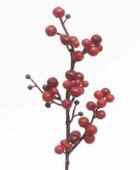 X538 - 13" Berry Spray - 1.85 ea, 1.60/12