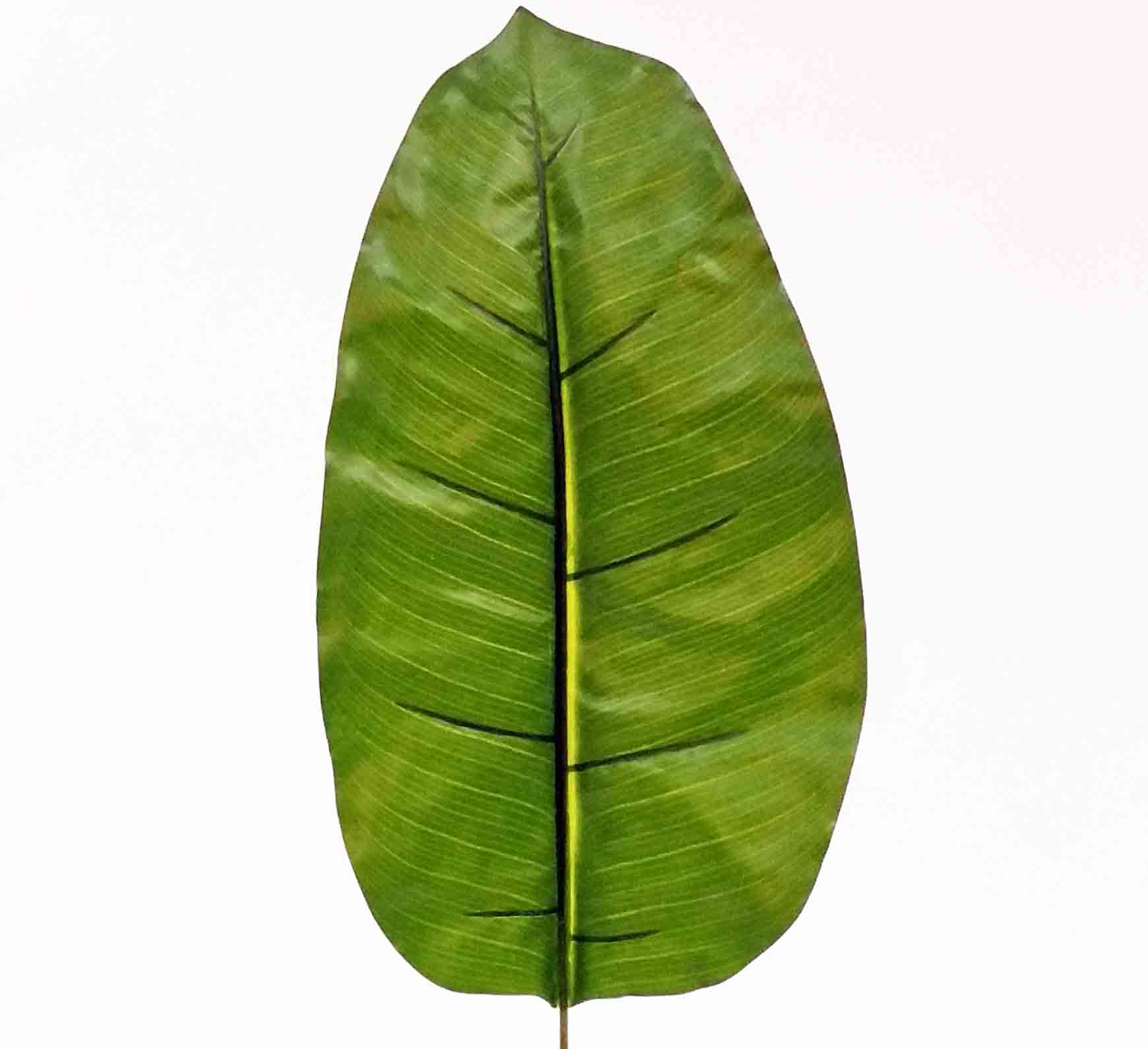 BP31 - 31" Banana Leaf - 3.25 ea, 2.90/48