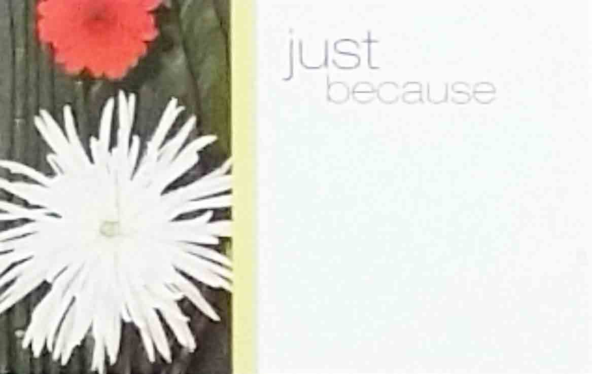 AC3309 - Just Because - 2.45 pkg, 2.25/10