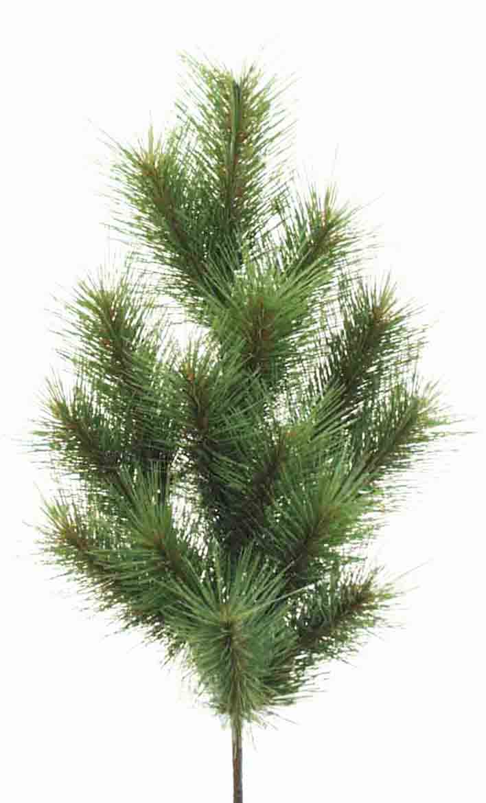 X251 - 24" Long Needle Pine Spray - 6.45 ea, 5.75/6