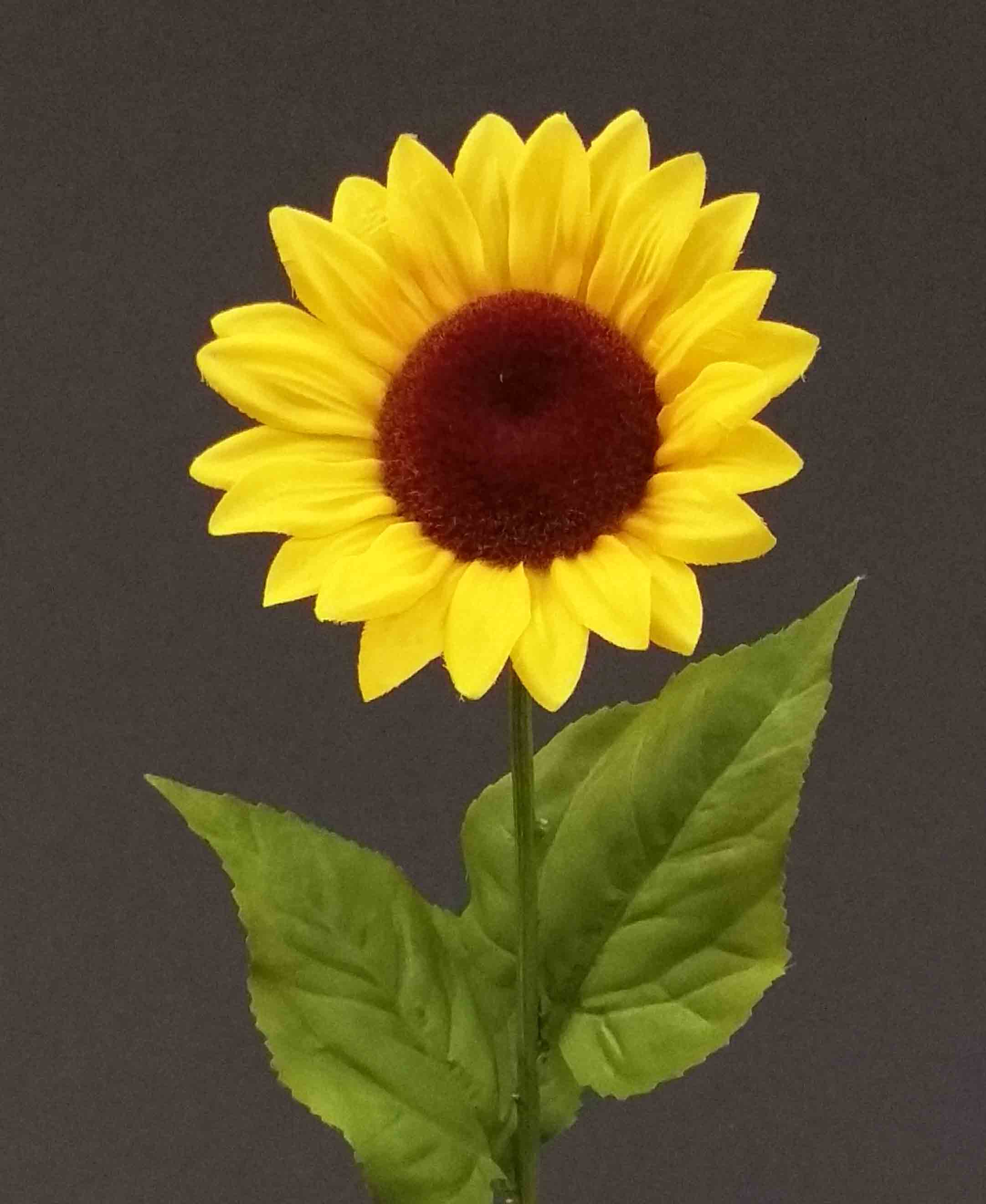 S24 - 24" Sunflower - 2.95 ea, 2.55/12