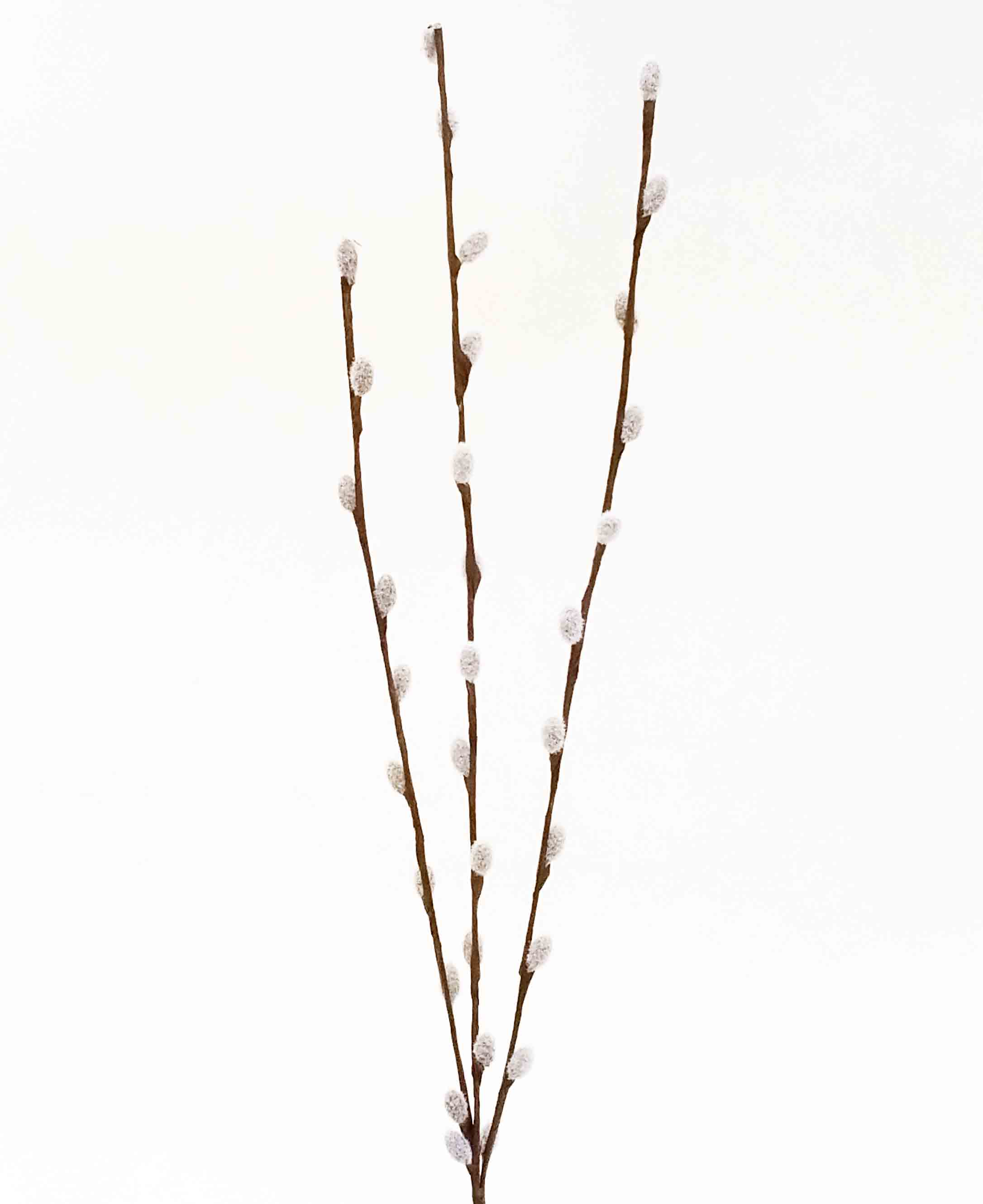 P33 - 34" Pussy Willow - 2.75 ea, 2.50/24
