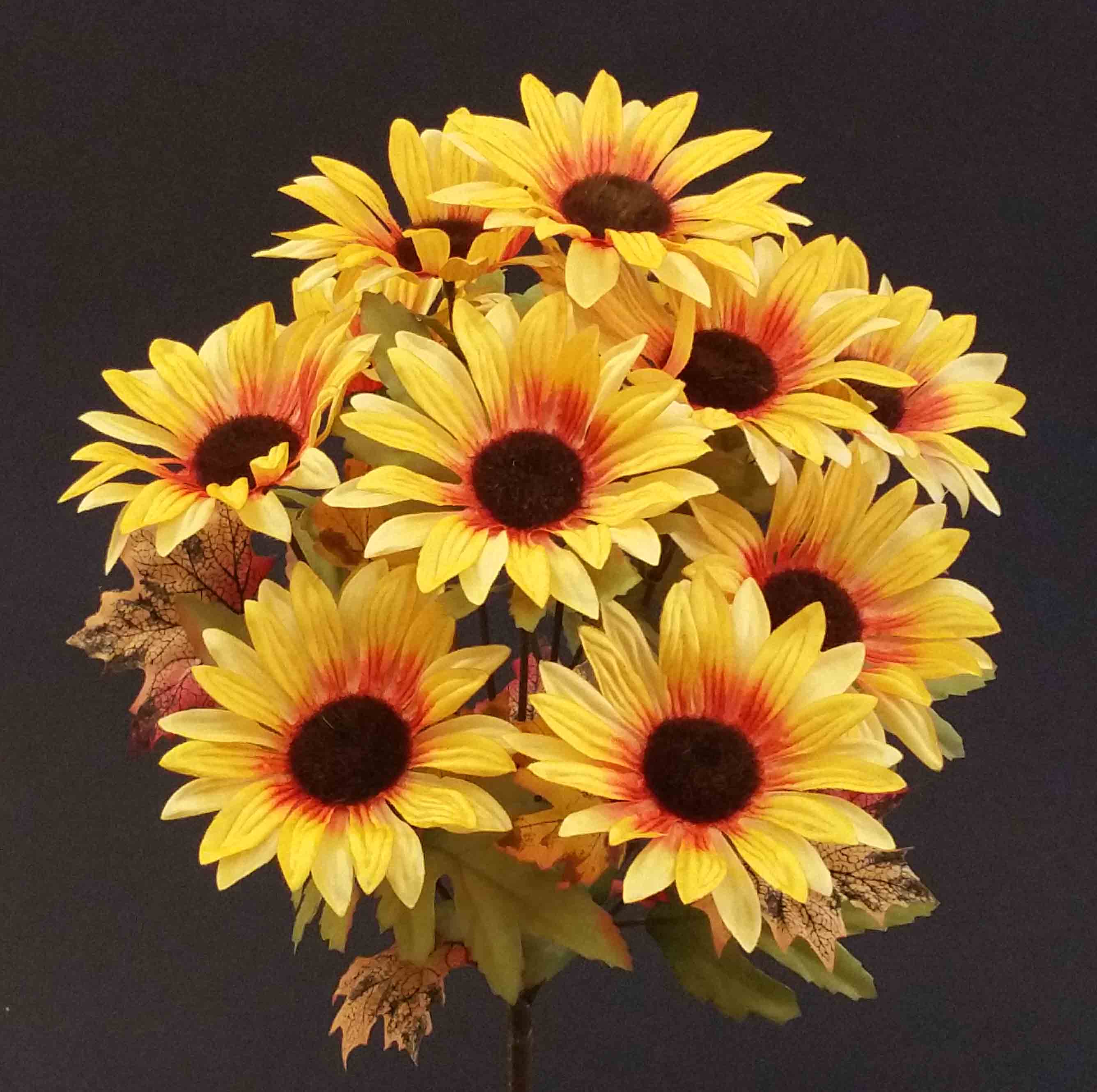 SB10 - 15" Sunflower Bush - 5.25 ea, 4.85/12