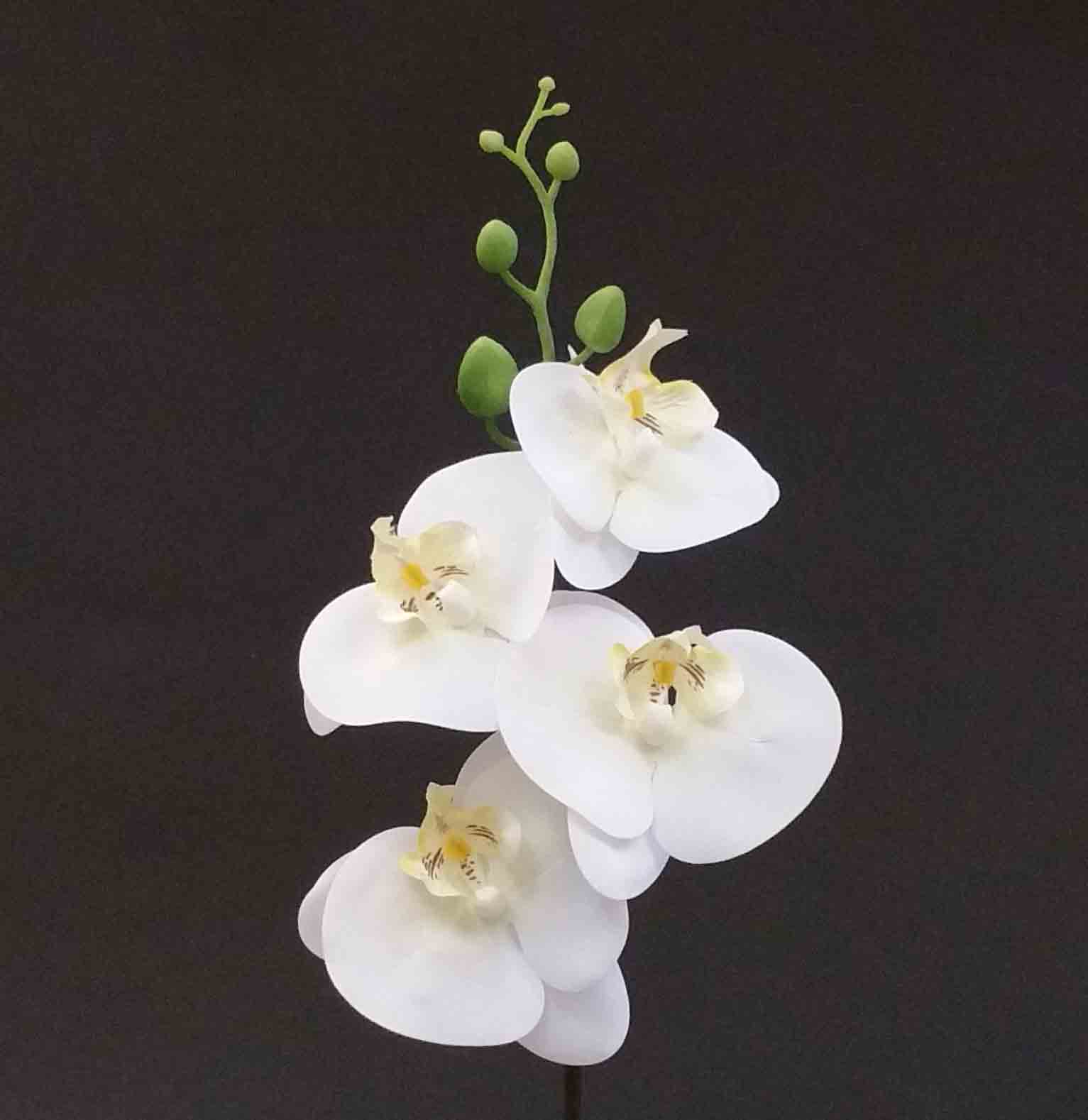 O40 - 33" Phalaenopsis Orchid - 4.60 ea, 4.35/24