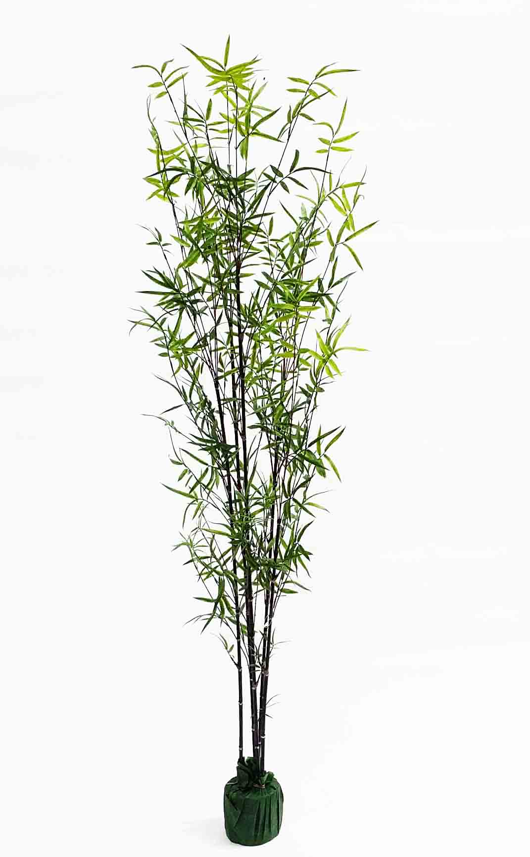BT82 - 6' 10" Bamboo Tree - Plastic - 115.50 ea