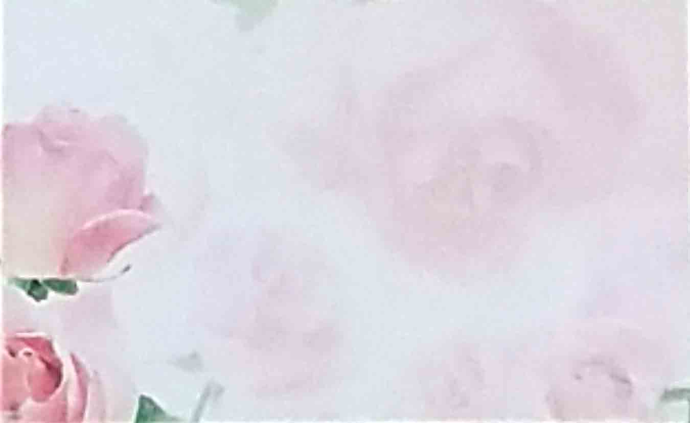 AC3566 - No Sentiment - 2.45 pkg, 2.25/10