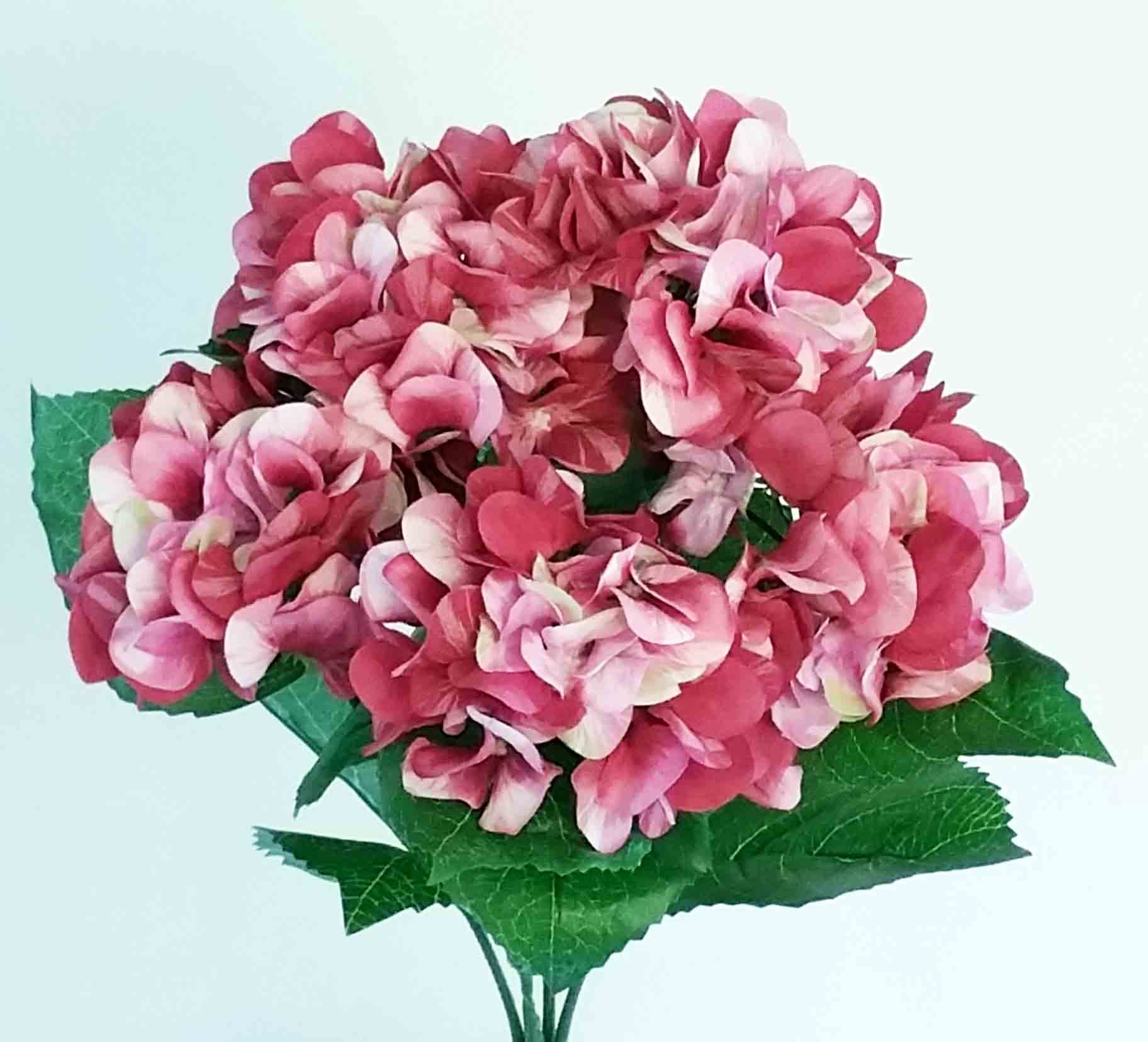 HB50 - 16" Fushia Hydrangea Bush - 9.05 ea, 8.45/12