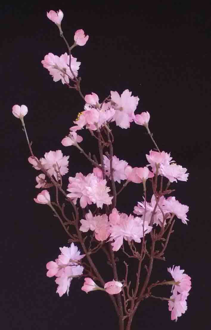 PB37 - 37" Peach Blossom Spray - 7.95 ea, 7.50/12