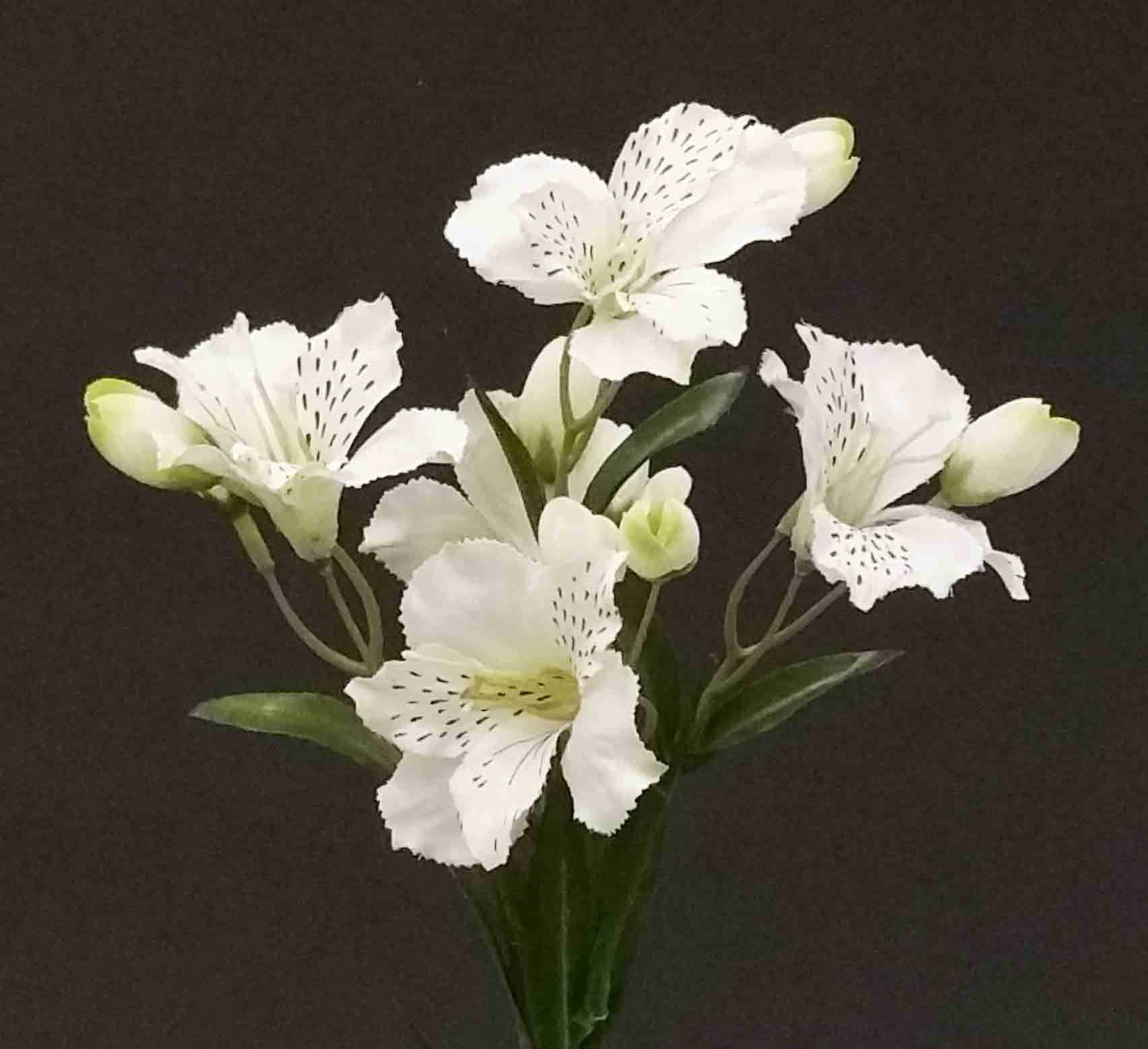 A15 - 27" Alstromeria - 3.95 ea, 3.75/12