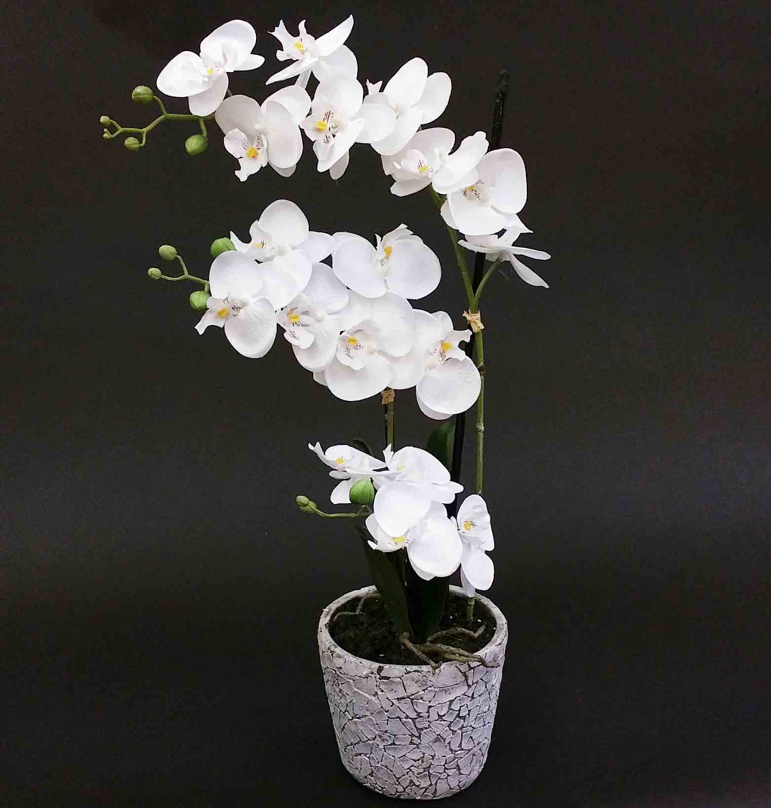 OP3P - 26" Orchid Arrangement - 33.40 ea