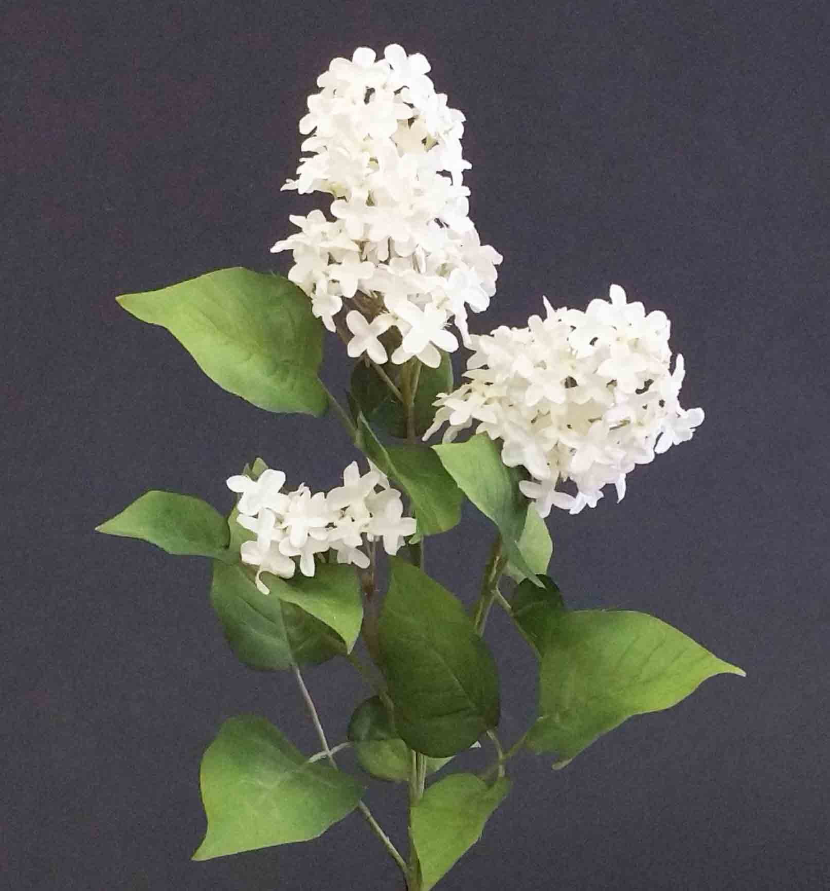 L33 - 29" White Lilac Spray - 5.95 ea, 5.45/24