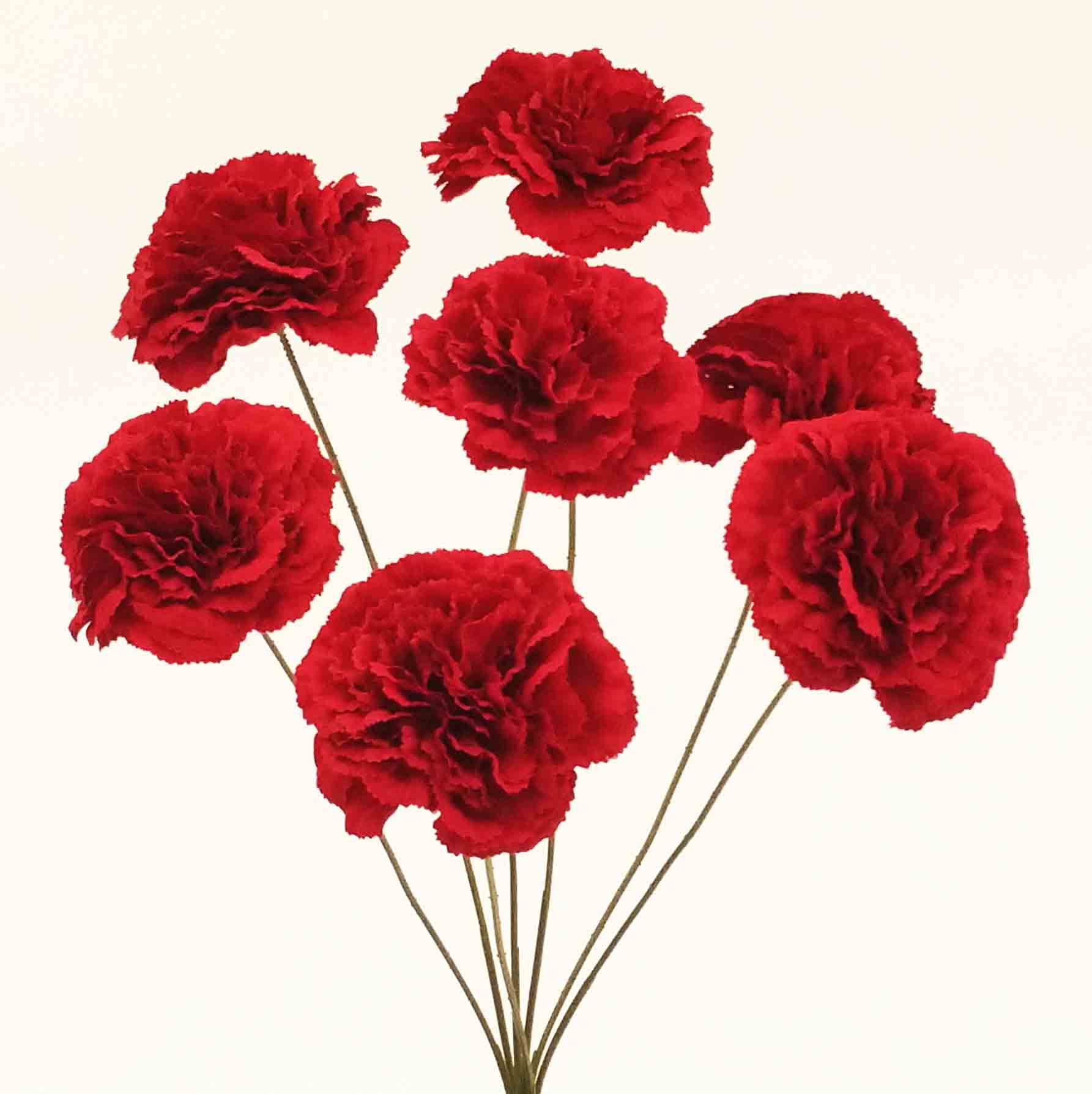 CB7 - Red Carnation Bush - NO FOLIAGE - 7.95 ea, 7.15/12