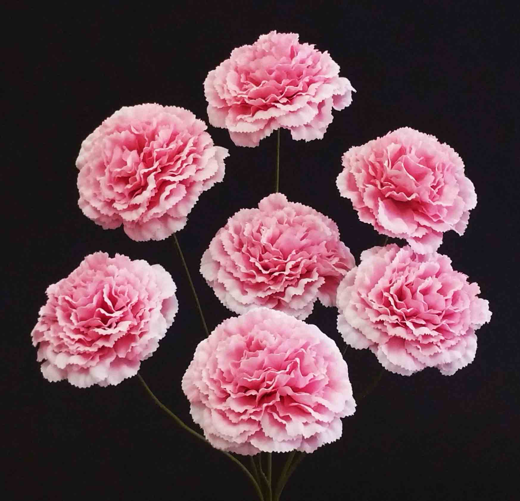 CB7 - Pink Carnation Bush - NO FOLIAGE - 7.95 ea, 7.35/12