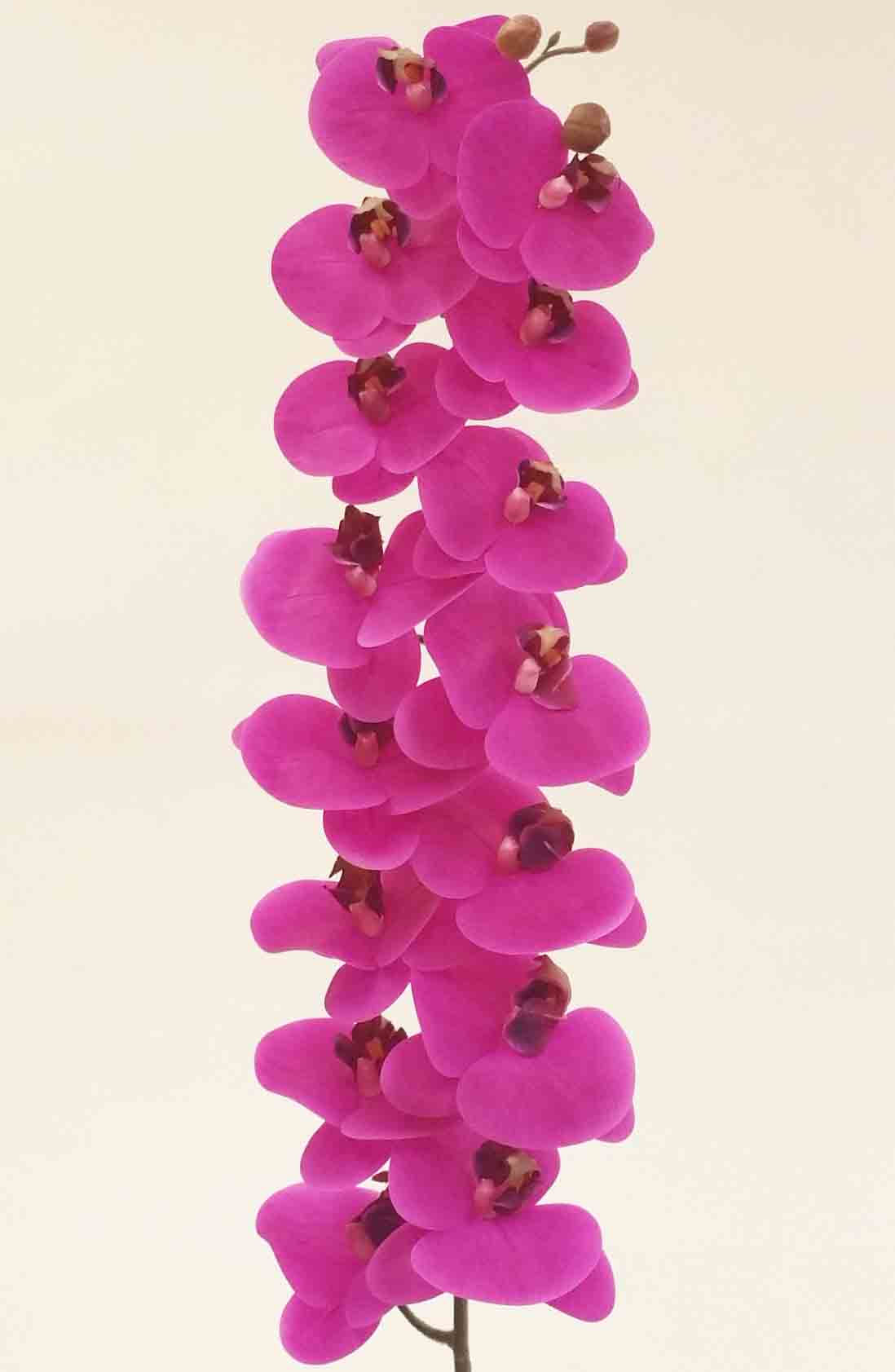 OP15 - 48" Phalaenopsis Orchid - 12.50 ea, 12.20/6