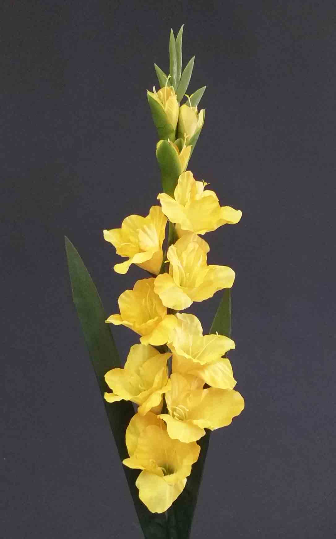 G83 - 38" Gladiolus - 6.30 ea, 5.95/12