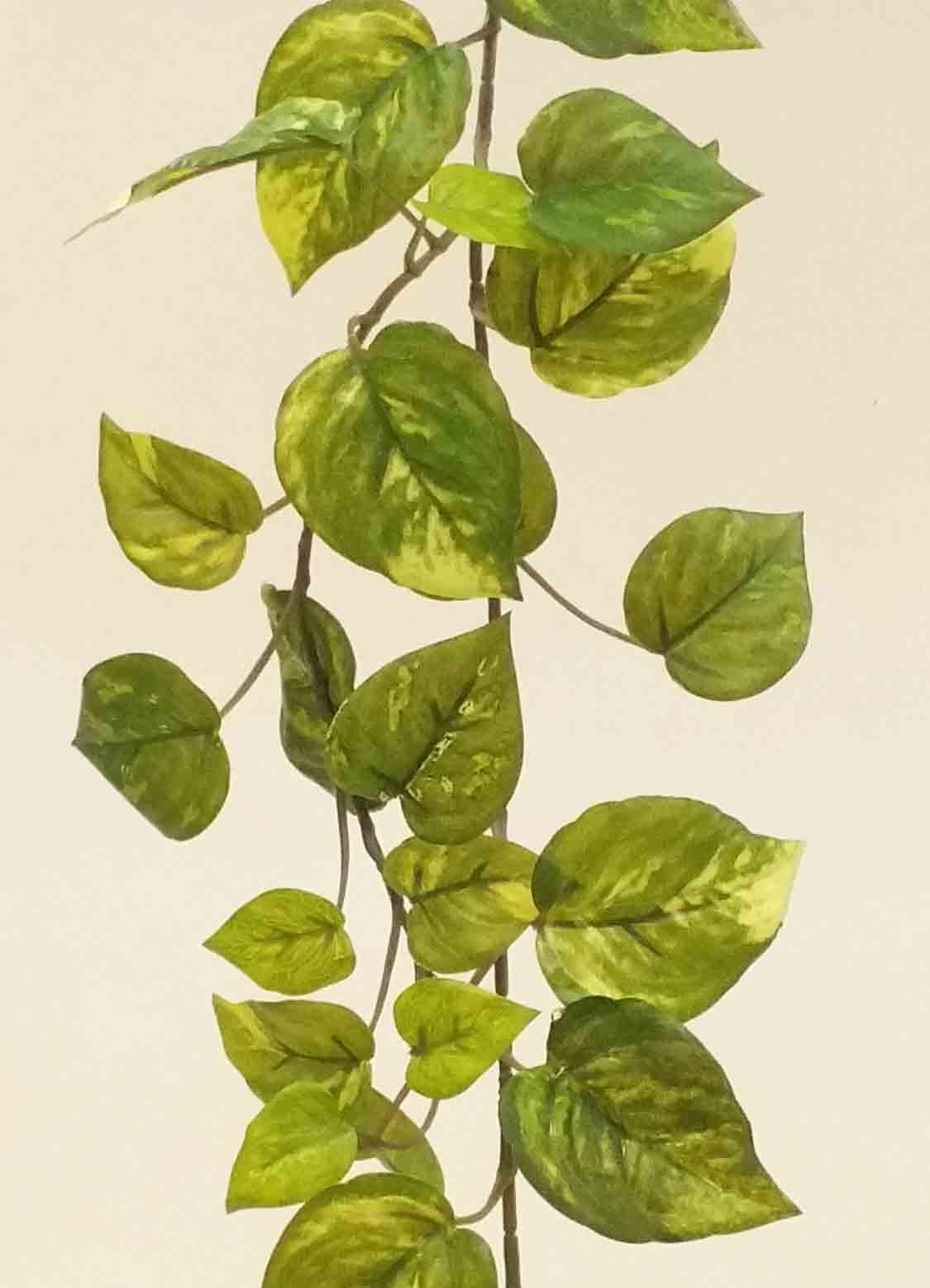 PG98 - 6' Pothos Garland - 6.90 ea, 6.60/6