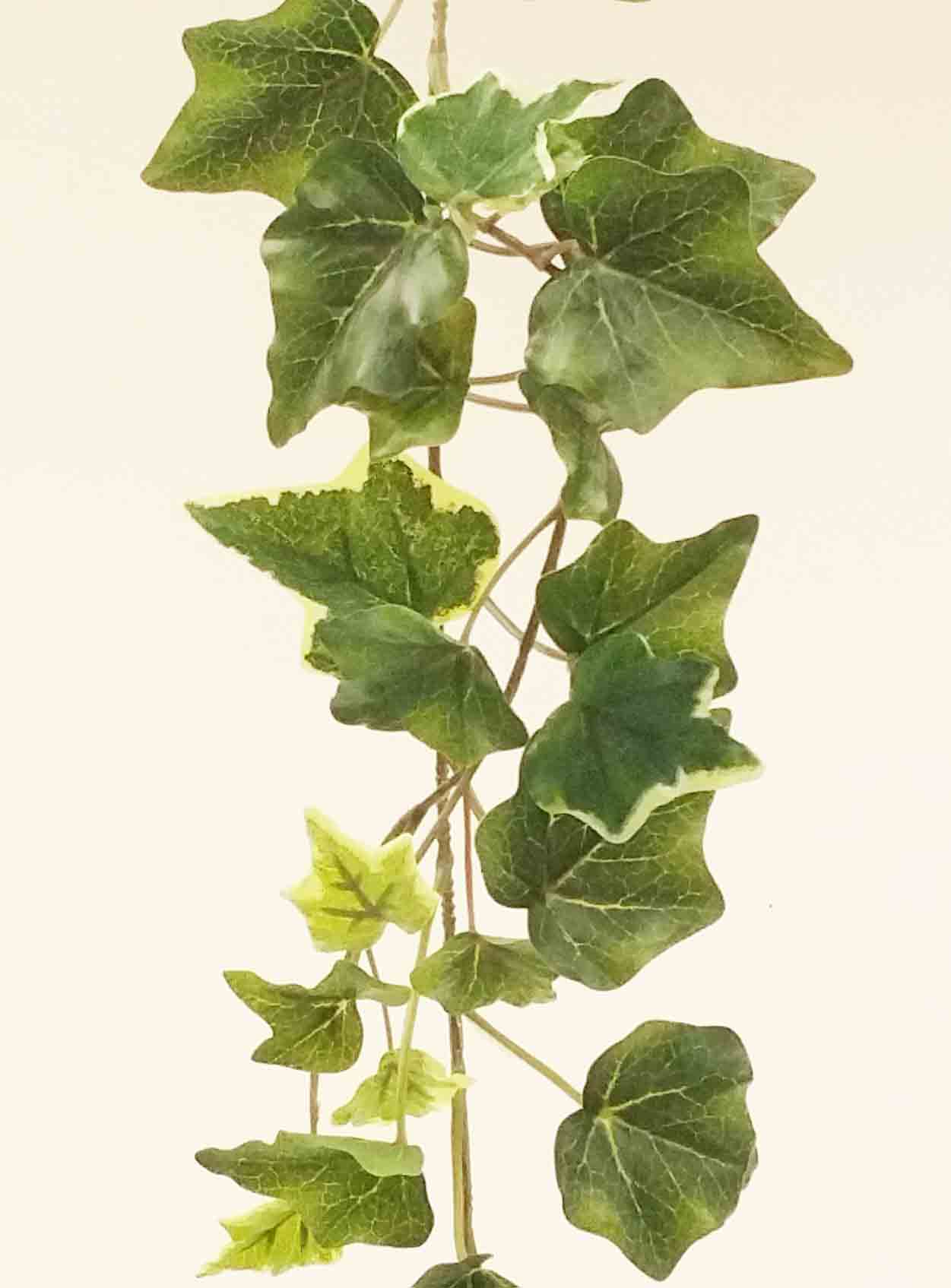 IG98 - 6' Ivy Garland - 6.50 ea, 6.30/6