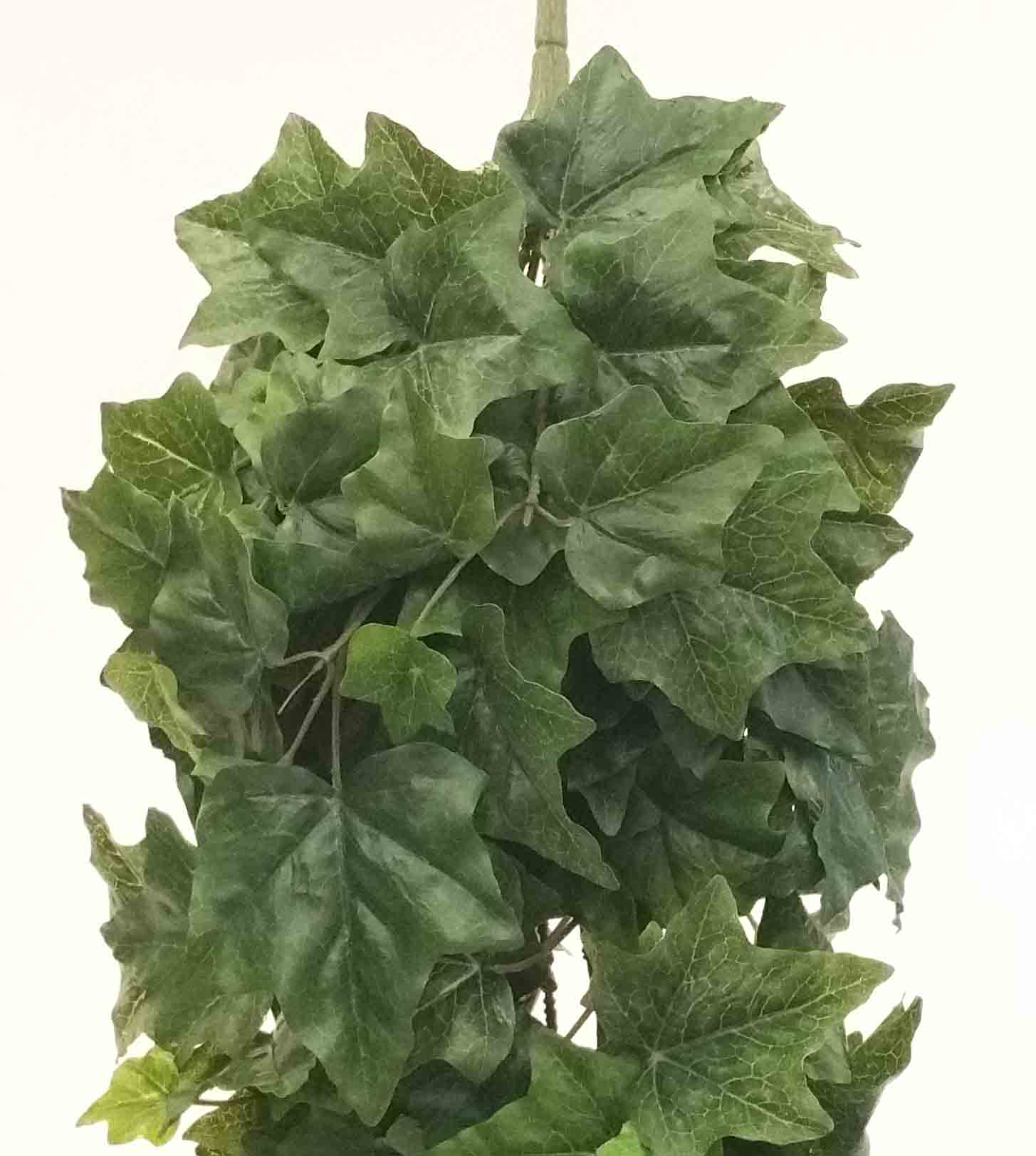 IB72 - Giant 6' Hanging Ivy Bush - 23.75 ea