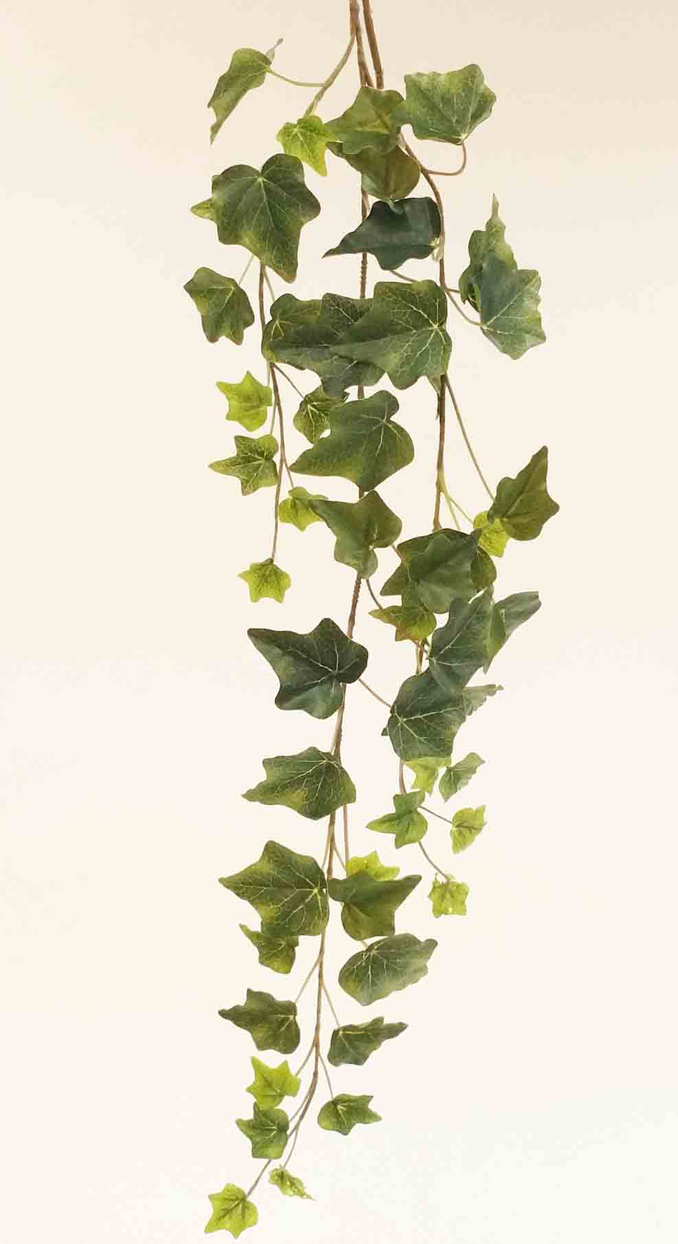 IV32 - 32" English Ivy Spray - 3.15 ea, 2.85/12