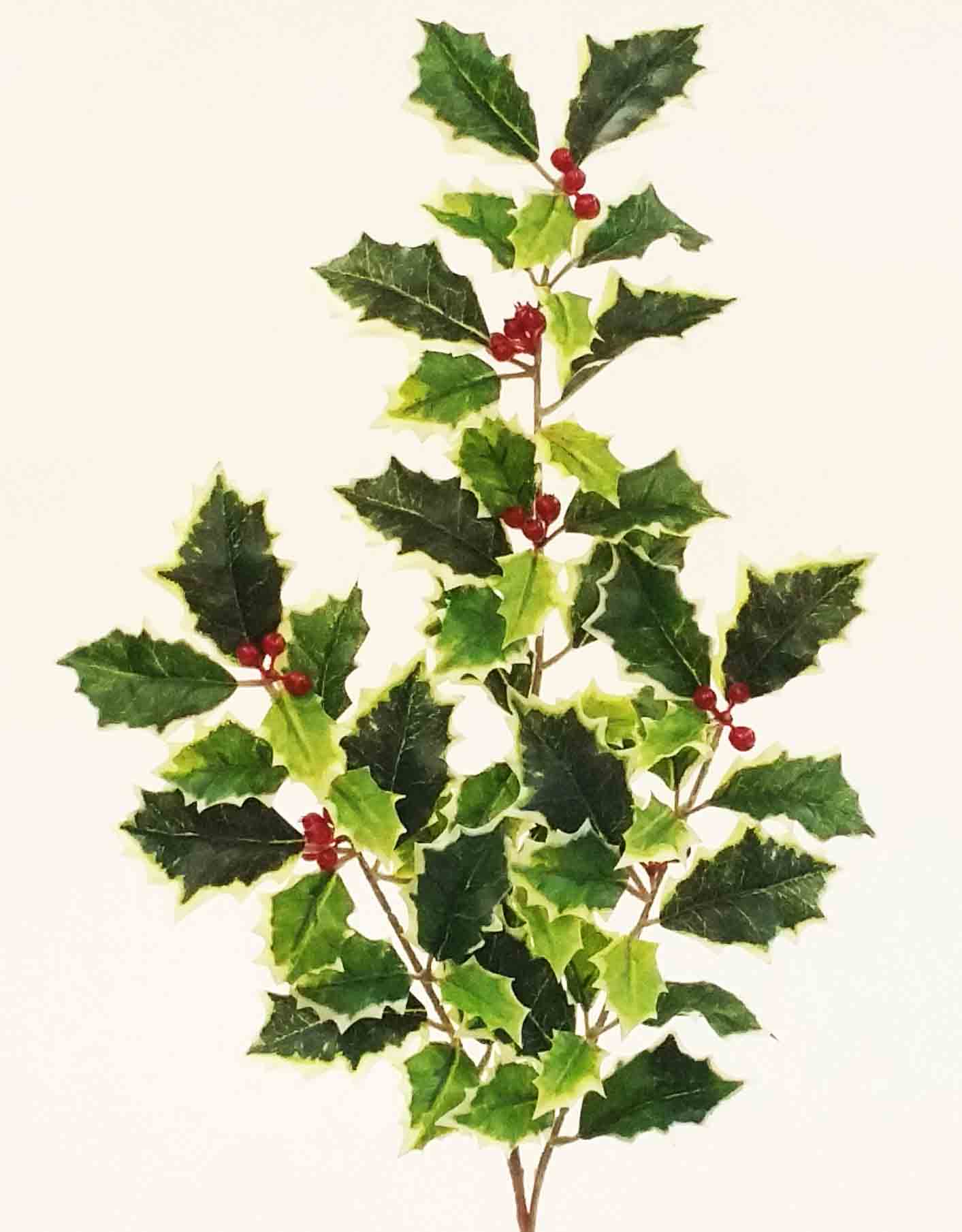 X154 - 20" Holly Spray - 2.90 ea, 2.60/24