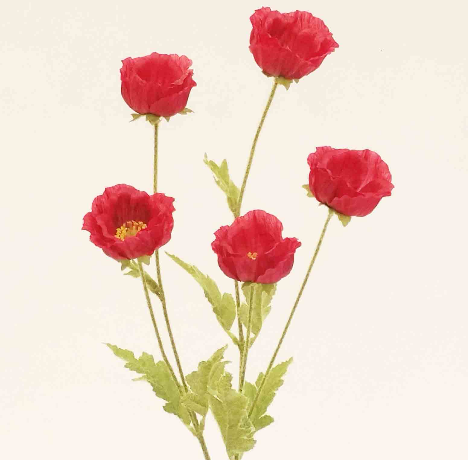 P55 - 26" Poppy Spray - 4.05 ea, 3.65/24